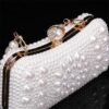 Elegant Pearl Clutch Bag – Luxury White Beaded Evening Purse
