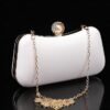 Women's Crossbody Bag Clutch Wallet Evening Bag Coin Purse