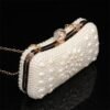 Elegant Pearl Clutch Bag – Luxury White Beaded Evening Purse